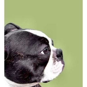 Meet your Posher, Jesse